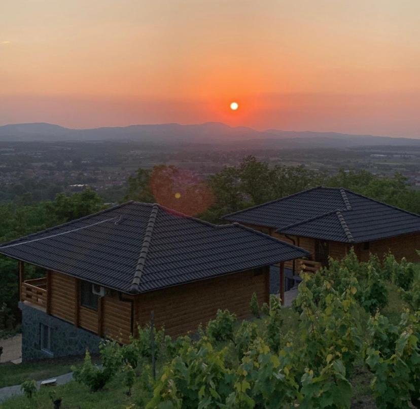 Boja Zalaska - Kameni Apartman Jagodina Buitenkant foto