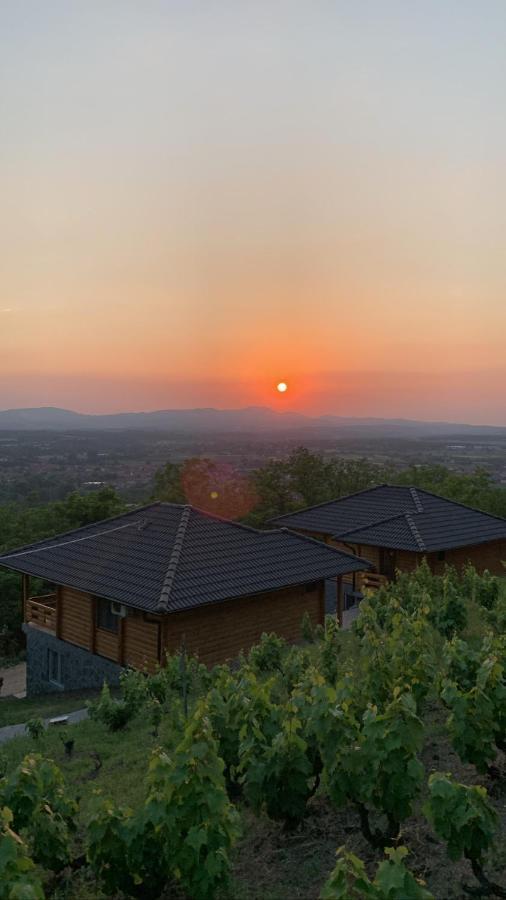 Boja Zalaska - Kameni Apartman Jagodina Buitenkant foto